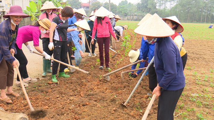 Phù Ninh: Chung sức xây dựng nông thôn mới