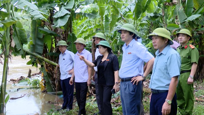 Phù Ninh: Đồng chí Bí thư Huyện uỷ kiểm tra công tác phòng, chống lụt bão trên địa bàn