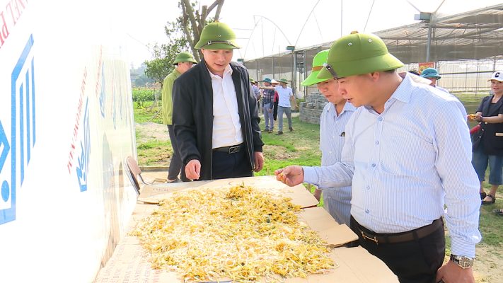 Chủ tịch UBND huyện Phù Ninh kiểm tra tình hình sản xuất nông nghiệp trên địa bàn huyện