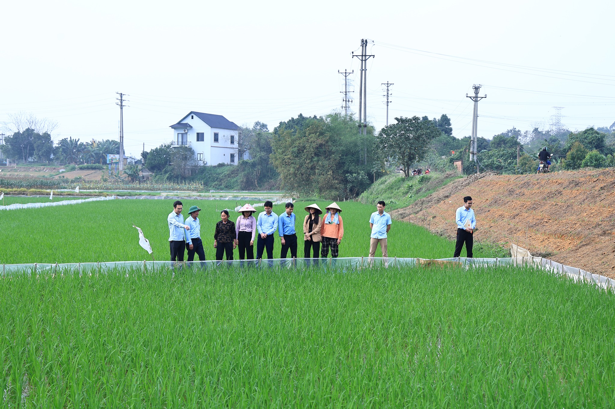 Đồng chí Chủ tịch UBND xã Phù Ninh kiểm tra sản xuất vụ Xuân năm 2026